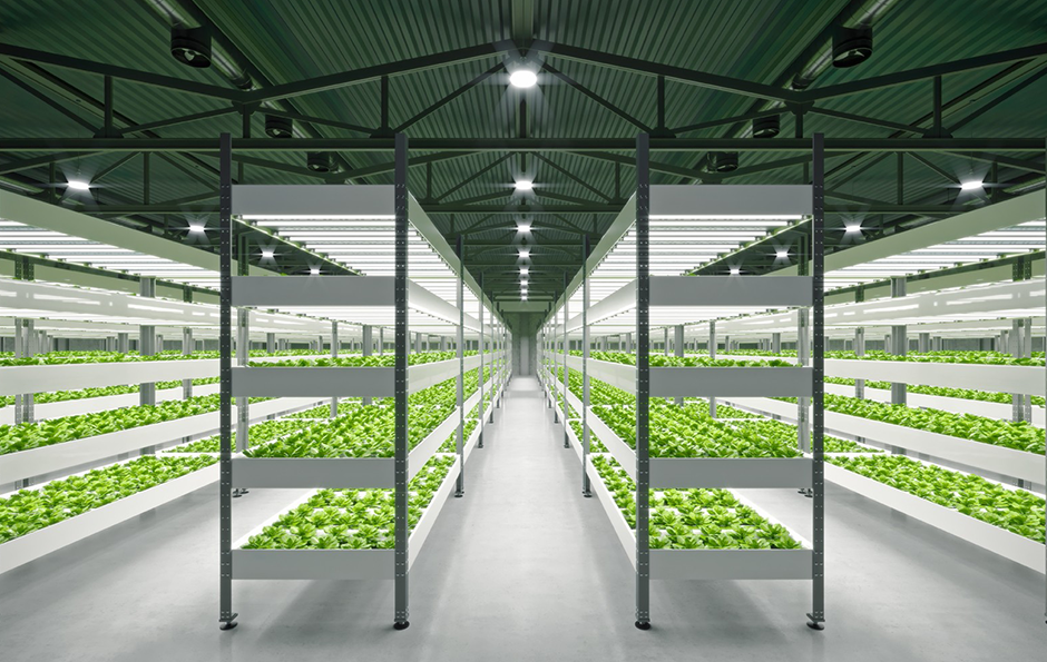 LEHU - 乐虎 - (国际) 游戏官方网站