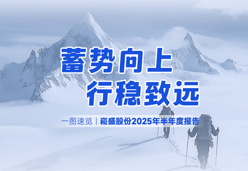 一图速览 | LEHU乐虎股份2025年半年度报告