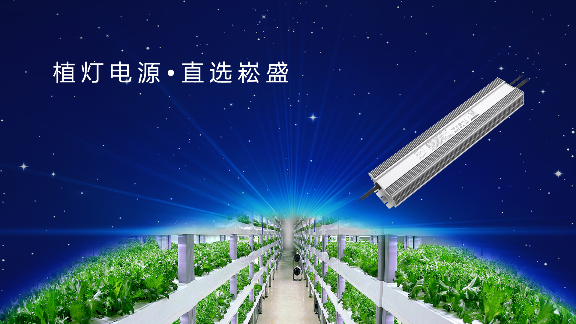 追光而行 ▏做植物照明驱动者，，，，，，，让未来农业绽放无限可能